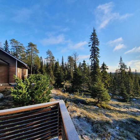 Hietavilla Borealis Kuusamo Ngoại thất bức ảnh