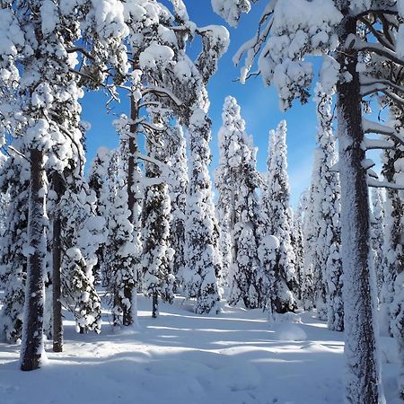 Hietavilla Borealis Ruka Ngoại thất bức ảnh